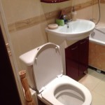 Копия 1346594529