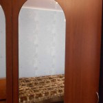 левобер 3 008