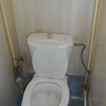 левобер 3 043