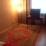 Копия 1346595243