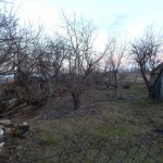 договор аренды2 003