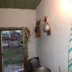 договор аренды2 009