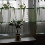 счет на оплату1 052