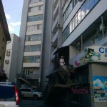 вид со двора на дом