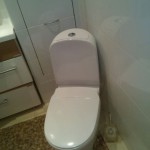 image-6a7b1795098d26cfd8e10f5b8c1f43b51f91811f6cdc31348c71e5da2268ab75-V