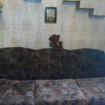 image-81d7ebd32ad57b687d7a0b8eb497470c171a6d9711f9b67d3f2aec8212286b7e-V