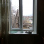 image-c447379d4dff2760d500778c18d12924ab344fd8fa43411caa6372c789292f16-V