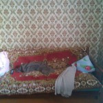 image-60a7811139a71558d34d33a31fe8b5423906f2910d9a97837ea4267a6fe67902-V