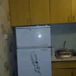 image-751e326b1edbc9506f58f29672381e4d426ac9086ae2517c2ce108ec0429eedc-V