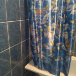 image-803436b98362c2009b8607d6d30ee84ef395de4c68db39c18c915f72d7d7d03d-V