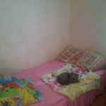 image-c60f2e2e7cd76ae13284385637331e3f294515bc28ac561ece9c14e1862ade85-V