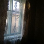 image-fa816844336658ed54949194cece27cf4c31c7699bdbfa2d10bbad46a459330d-V