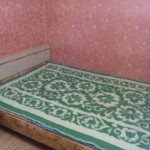 image-11139c5d8063fd37a191026df463d3c38d07aeca8d4813e15222cf4bae7a8d17-V