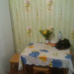 image-393cdca44bd29c8e7a0f0190db17a6360079907e9b9dc1353e373ed29c1fffed-V