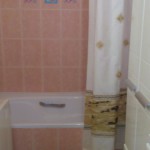 image-e0950bfa93447ba46f45b76b0aec89e25835e8552c5f359aabc589fab37337b3-V