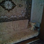 image-0f28f29d588db53318961802233eed190fd3a43fc6b03d687ed5cc9bfc1a34e0-V