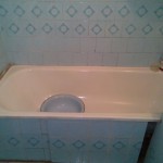 image-907e7116fb285358a345c387f7d8daf112822308cec6a9ec42e75d9f632ce913-V