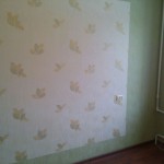 image-0b1b2b823174555c07e3df7257b6ea62a9ba1bcce89d521c10753cfda67b23dd-V