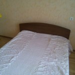 image-525fe3560438149f26105f0eaaac8d112460c0dd28c6e0cbe2dfdf33de614fd8-V