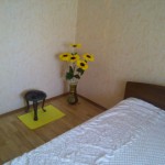 image-ca14b8f70bed6bb0e24e4ef0923e55fb70a3a7caa4bbfec0c9833f02895f431c-V