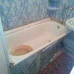 image-eab8c4022b9cb4ec3b54eec7c757b1413d71d691c7afb8ed5c6034421badee17-V