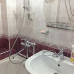 image-da60d8cc82f8a9a8726078e00a0c3d1e8e9045732476146353c82c031d0b4e11-V