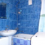 image-1e9b569df31528d810aab50357b3289978ad95c3d2b5317043c0b022cc88d943-V