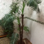 image-4beddcd37cae5120fa35c9c91f964a8f66120771aa96ede0027e0d61dfd9f322-V