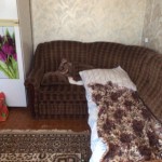 image-0-02-01-9f3310683a664938787ef71103086b79c32e610f1b7dc746ead788be5d9259f3-V