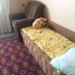 image-0-02-01-b1f332322d22d226fc9d421eb45b5afb8804ff45d605d602f386dc655f88263b-V