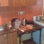 image-0-02-05-1cb2703cd8fc79d278f1da81aafc7e6a0cc6412ecff7beea65e28cea2d865b62-V