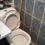 image-0-02-05-3acc6f12cd0b323cbd3de025954fa45d852a36ea218905444acdc865893b61e4-V