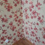 image-0-02-05-98a019b36d7c7b573debd7a218667df7b58e671e545a2b01a8c65dc4d4432f0e-V